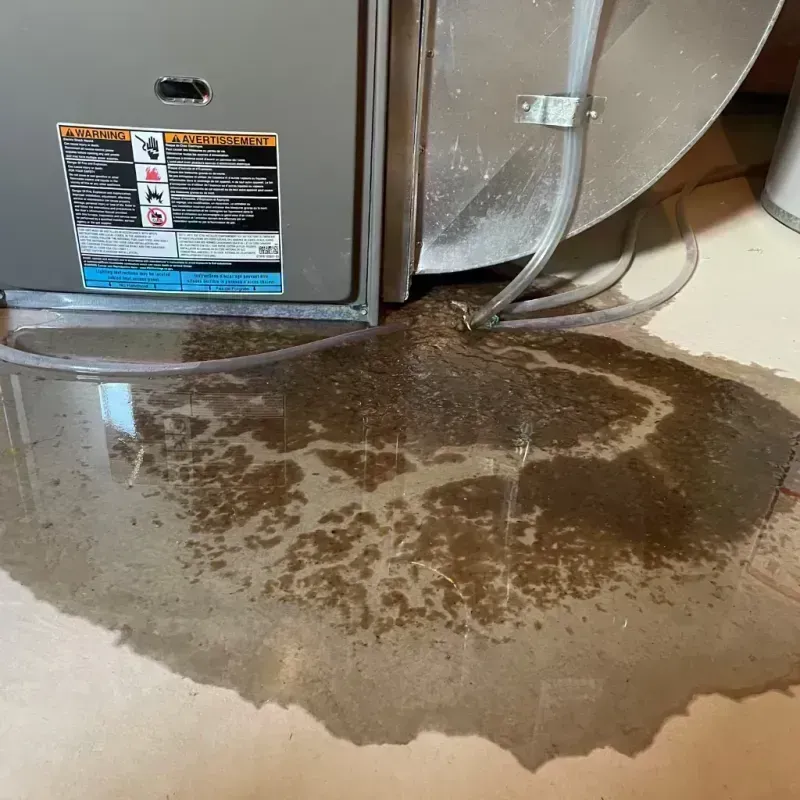 Appliance Leak Cleanup in Dellwood, MO